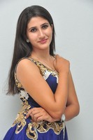 Manisha Gallery